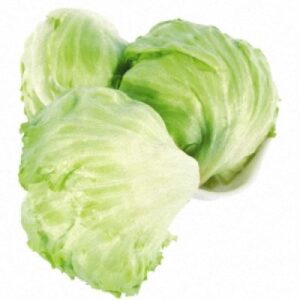 Lechuga Iceberg